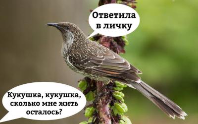 CgStiJgbi78.jpg