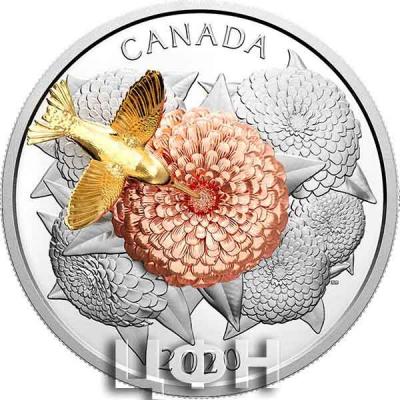 «HUMMINGBIRD AND THE BLOOM 5 Oz Silver Coin 50$ Canada 2020».jpg