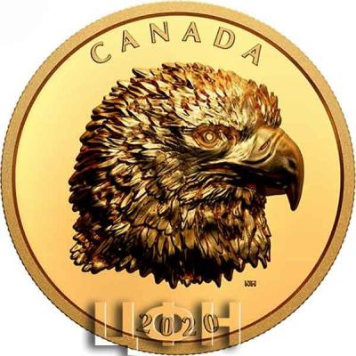 «Pure Gold EHR Coin - Proud Bald Eagle».jpg