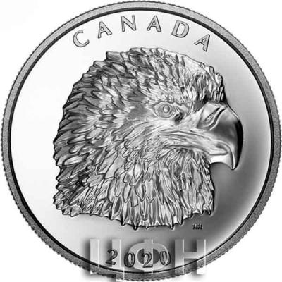 «Pure Silver EHR Coin - Proud Bald Eagle».jpg