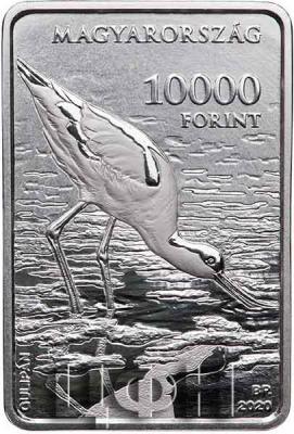 «Hungary - Ingot-shaped silver Proof coins issued featuring Kiskunság National Park.».jpg