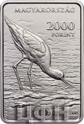 «Hungary - Ingot-shaped silver Proof coins issued featuring Kiskunság National Park» (1).jpg