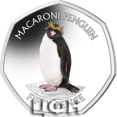 «MACARONI PENGUIN».jpg