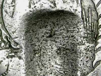 0908-02.thumb.jpg.203df0b0a57aa4c9ee5bfacdc9d7c278.jpg