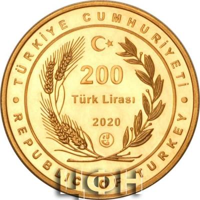 «200 Türk Lirası».jpg