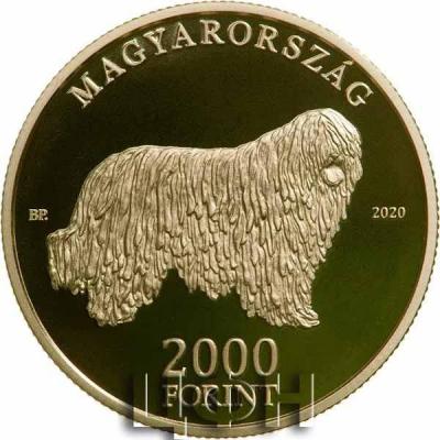 «Moneda para el Komondor, el perro con rastas»..jpg