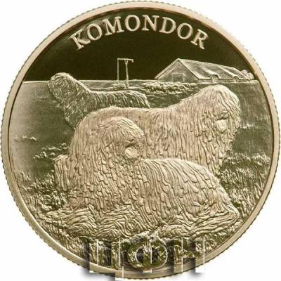 «Moneda para el Komondor, el perro con rastas».jpg