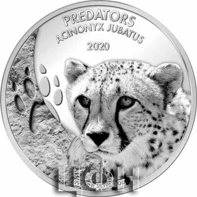«ACINONYX JUBATUS Cheetah Predators 1 Oz Silver Coin 20 Francs Congo 2020».jpg