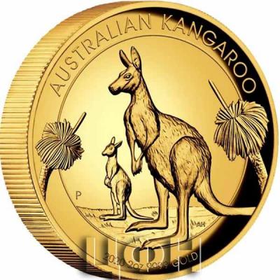 «2020 Australian Kangaroo 2oz Gold Proof High Relief Coin».jpg