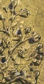 image01996.thumb.jpg.a4718d52c2c12f84c05f2399443ae4a1.jpg