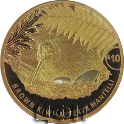 «The brown kiwi in its burrow is captured in fine detail with this gold proof coin».jpg