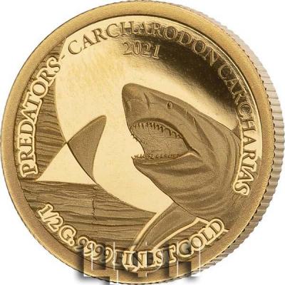 «PREDATORS - CARCHARODON CARCHARIAS».jpg