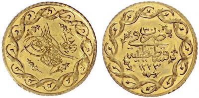 Turkey_1836_mahmudiye_Sincona_11-3434.jpg