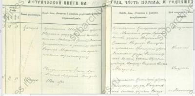 1911-Колпино-ф19о128д1268-20101-Гришмановский.jpg