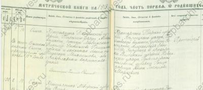 1913-Колпино-ф19о128д1565-304-Гришмановский.jpg
