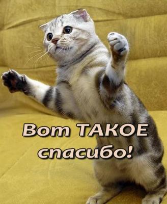 smeshnye-kartinki-spasibo-9.thumb.jpg.e392c2ef0cf23bdddd593e103fbb2aa4.jpg
