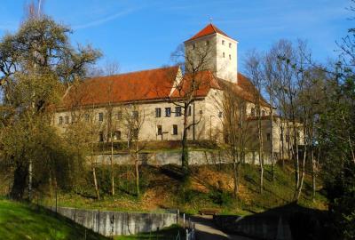 5f92e57e9ea9a_friedberg1.thumb.jpg.af580b1f843a16c70276ea6ea5208640.jpg