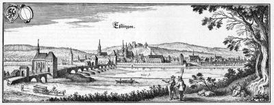 5f99e241f275e_elingen1.thumb.jpg.b684ae09a59e89db715c4927d3a3496e.jpg