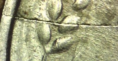 Picture003.jpg