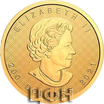 «2 oz. Pure Gold Coin – The Classical Maple Leaf».jpg