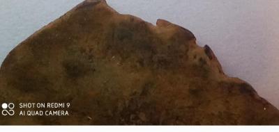 IMG_20201108_085529.jpg
