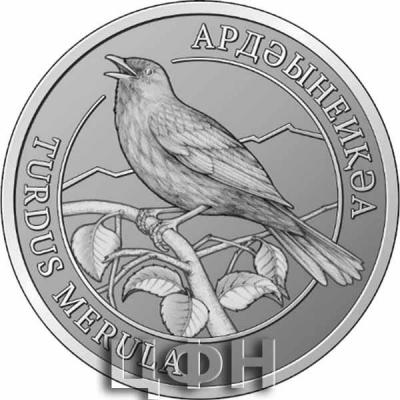 «2 апсара Абхазия 2020 - TURDUS MERULA ● АРДӘЫНЕИҚӘА».jpg