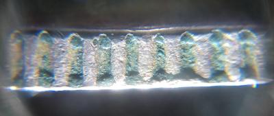 IMG_20201129_135057062.jpg