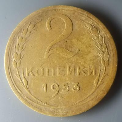 2_195301.jpg