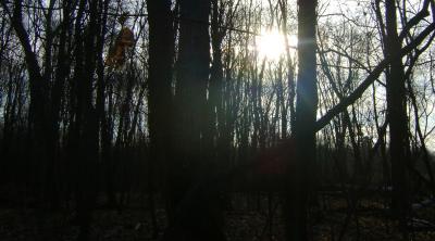 dsc08978.thumb.jpg.7280f5edd95c950b4bb5ee3ef25b063f.jpg