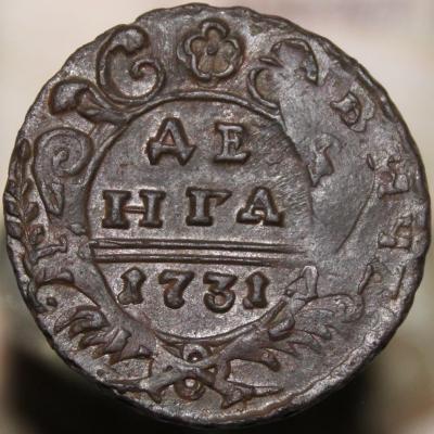 1731.jpg