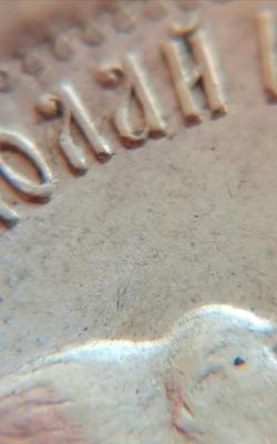 Screenshot_20201211_111604.jpg