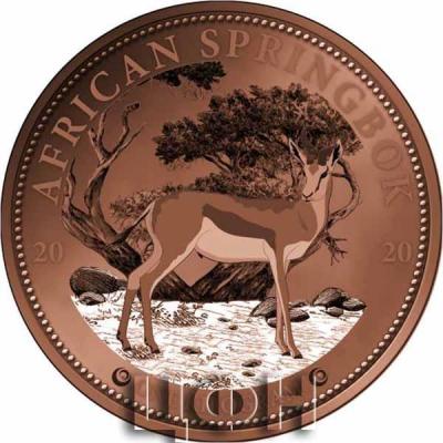 «REPUBLIC OF GHANA», «10 CEDIS» «AFRICAN SPRINGBOK».jpg
