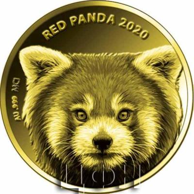 «RED PANDA».jpg