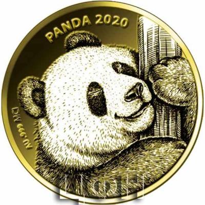 «PANDA».jpg