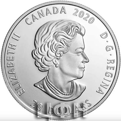 «2020 CANADA $20 FINE SILVER».jpg