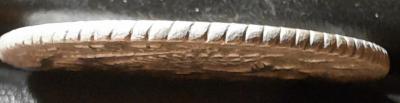 20201223_080312.thumb.jpg.cec61ccf79c7fea4d4b517f5d44081b4.jpg