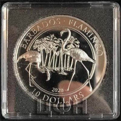 10 DOLLARS Platin Barbados - Flamingo 2020 (2).jpg