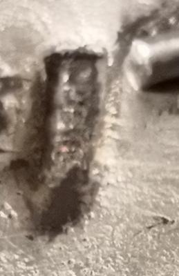 IMG_20201227_135316.jpg