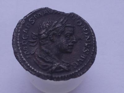 RSCN3488.JPG