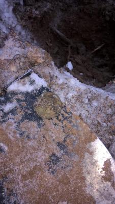 IMG-20201227-WA0000.jpg
