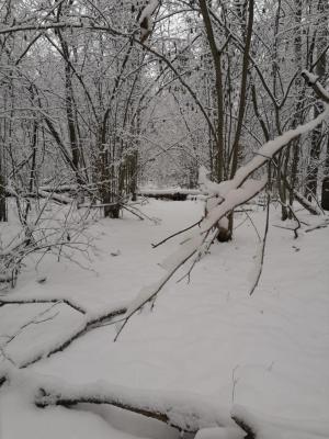 IMG-20201229-WA0001.jpg