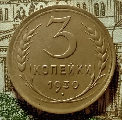 аук1.gif