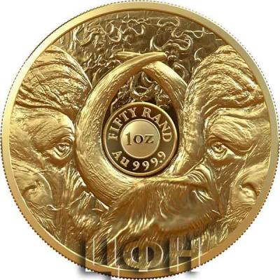 «BIG FIVE - BÜFFEL - 1 Oz GOLD»..jpg