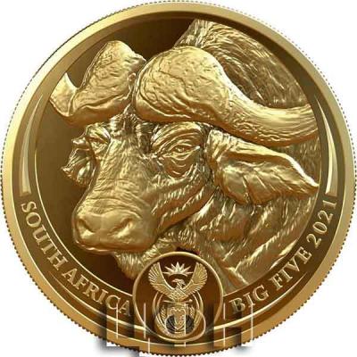 «BIG FIVE - BÜFFEL - 1 Oz GOLD».jpg
