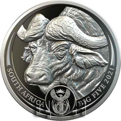 «BIG FIVE - BÜFFEL - 1 Oz Rt.».jpg