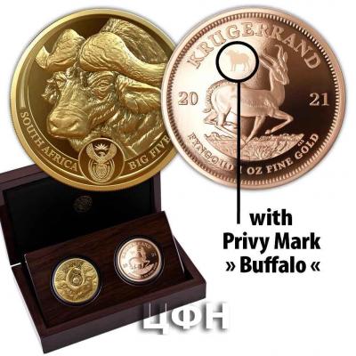 «BIG FIVE + KRÜGERRAND (5.) SATZ - PRIVY MARK BÜFFEL».jpg