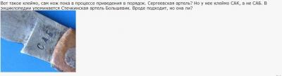 саб (3).jpg
