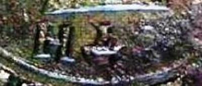 46745.jpg.4bea26a8f736d3b18a3d37e600cd7959 (1).jpg