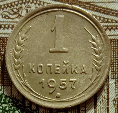 аук1.gif