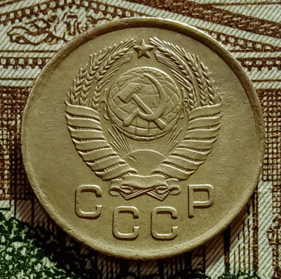 аук2.gif